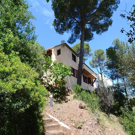 The House In Has 3 Bedrooms Pals